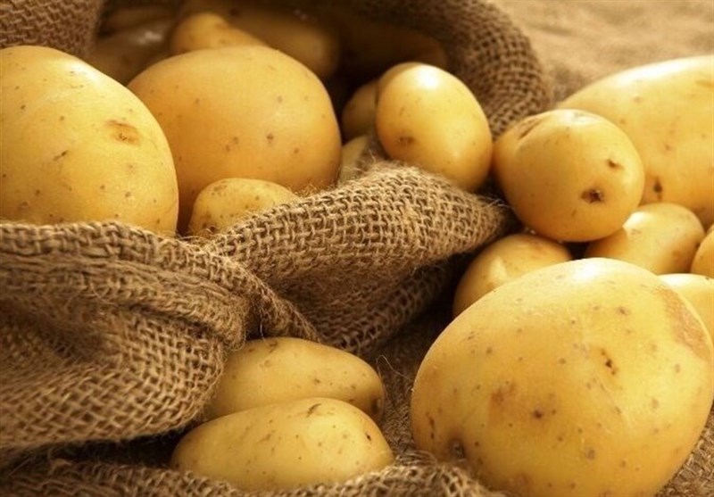 Export of potatoes